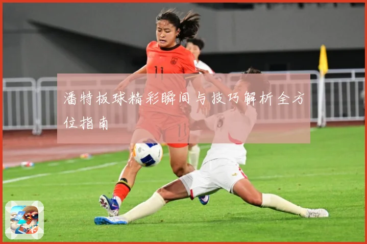 潘特板球精彩瞬间与技巧解析全方位指南