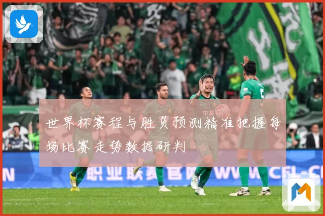 世界杯赛程与胜负预测精准把握每场比赛走势数据研判