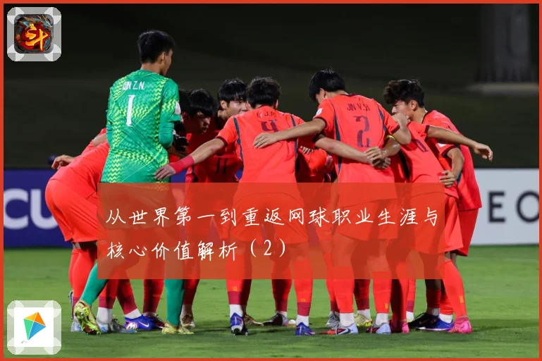 从世界第一到重返网球职业生涯与核心价值解析（2）