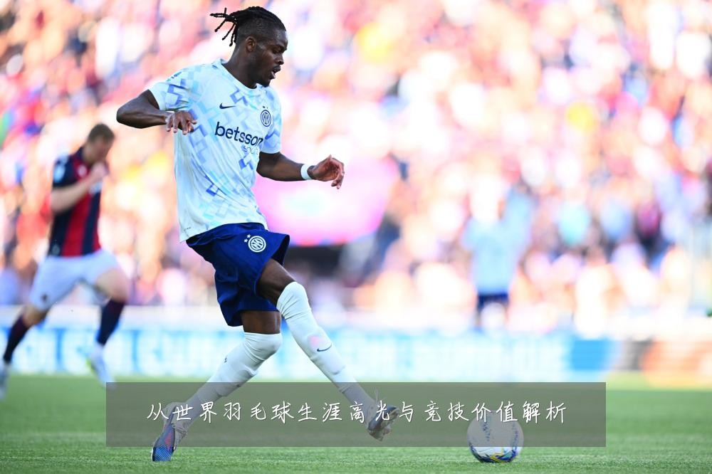 从世界羽毛球生涯高光与竞技价值解析